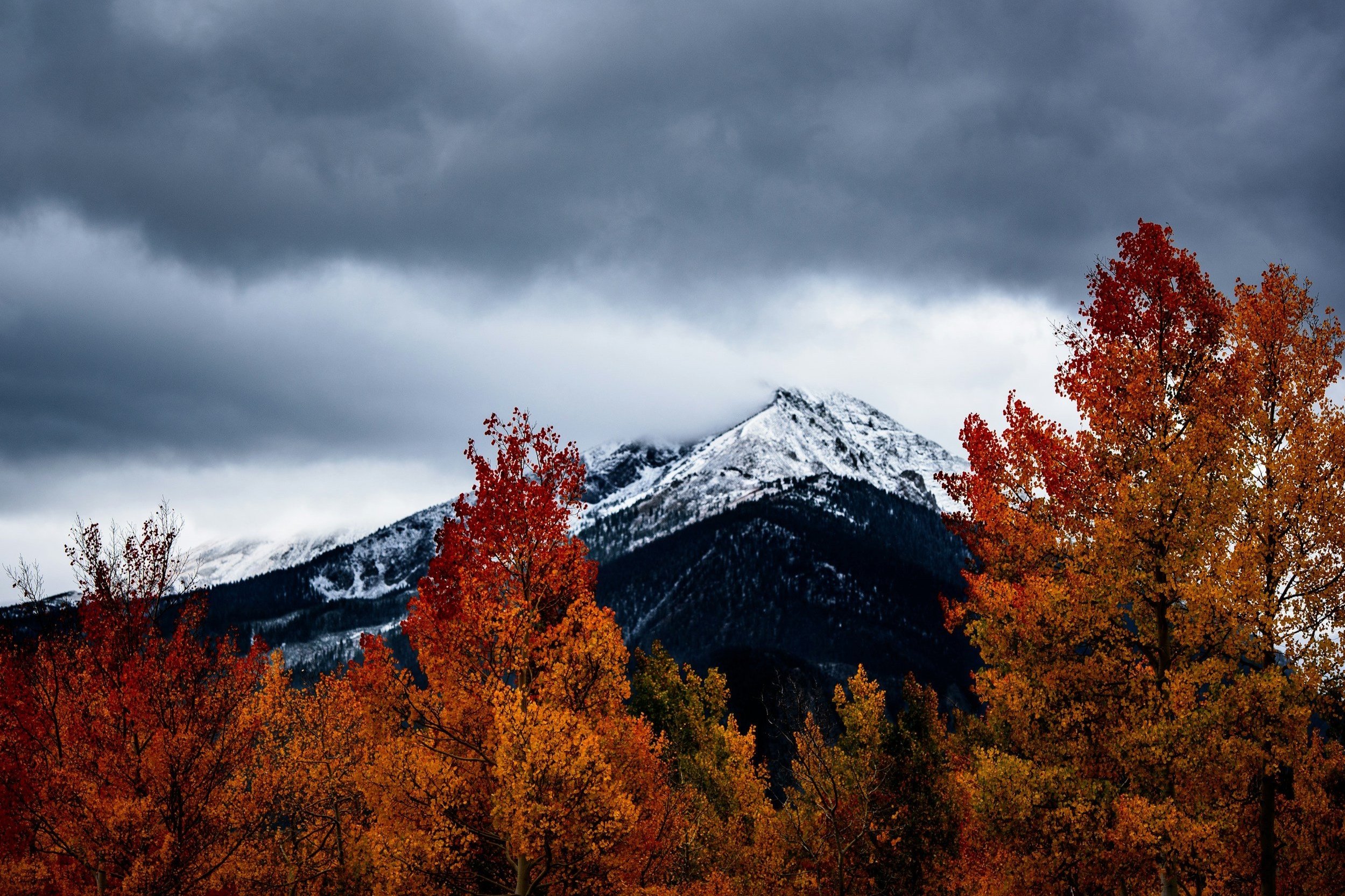 Autumn in Aspen